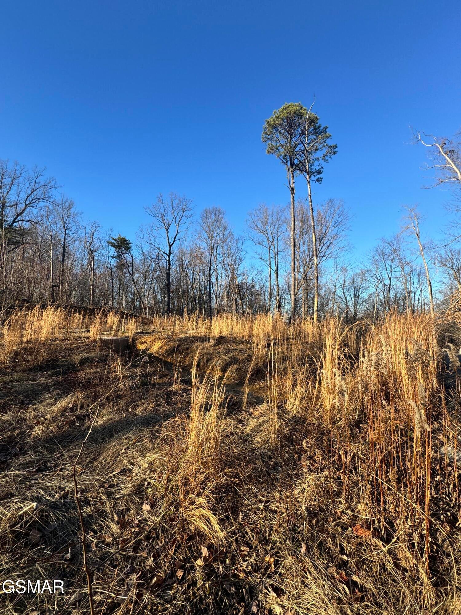 3361 Sugar Maple Loop Road - Photo 2