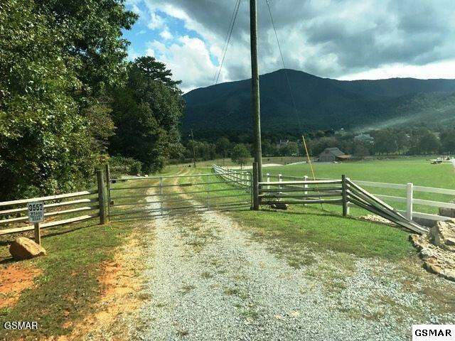 3557 Wears Valley Road - Photo 2