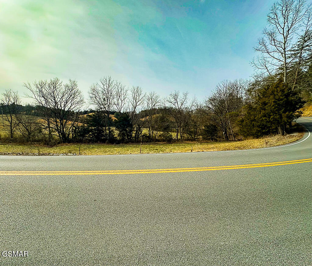 Lot 3 Kellum Creek Road - Photo 4