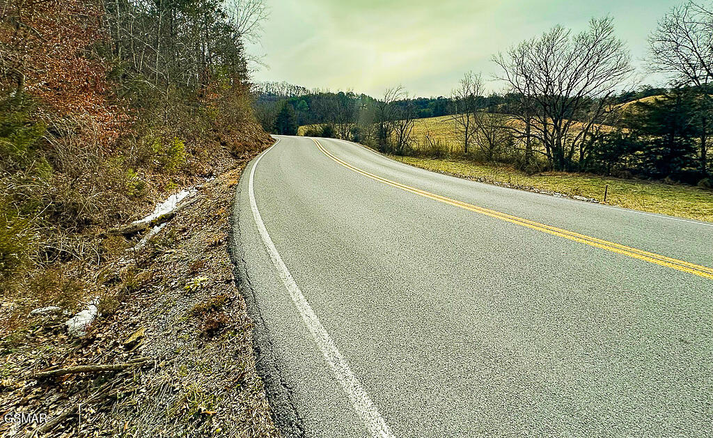 Lot 3 Kellum Creek Road - Photo 3