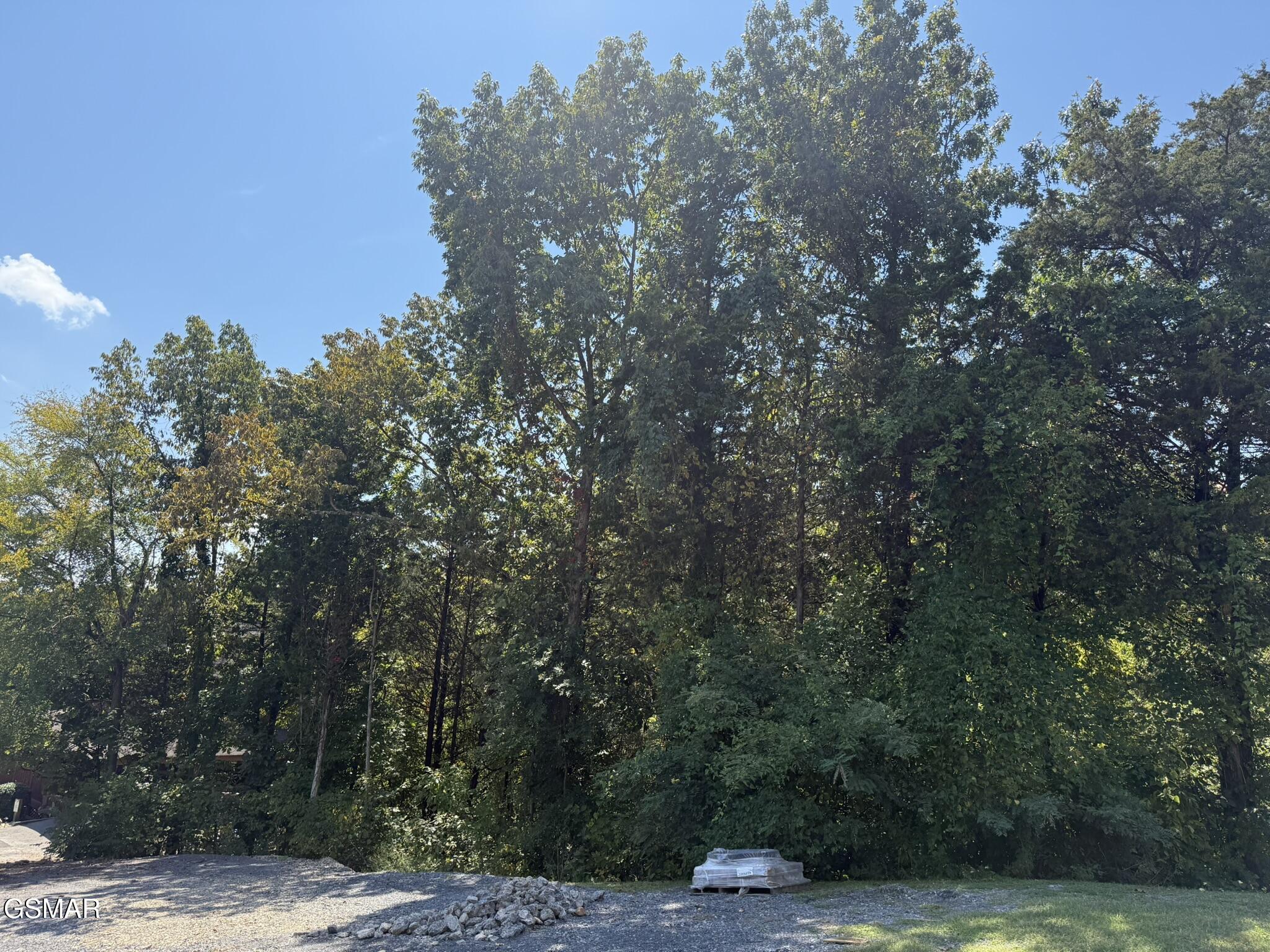 320 Oak Haven Way Way - Photo 3