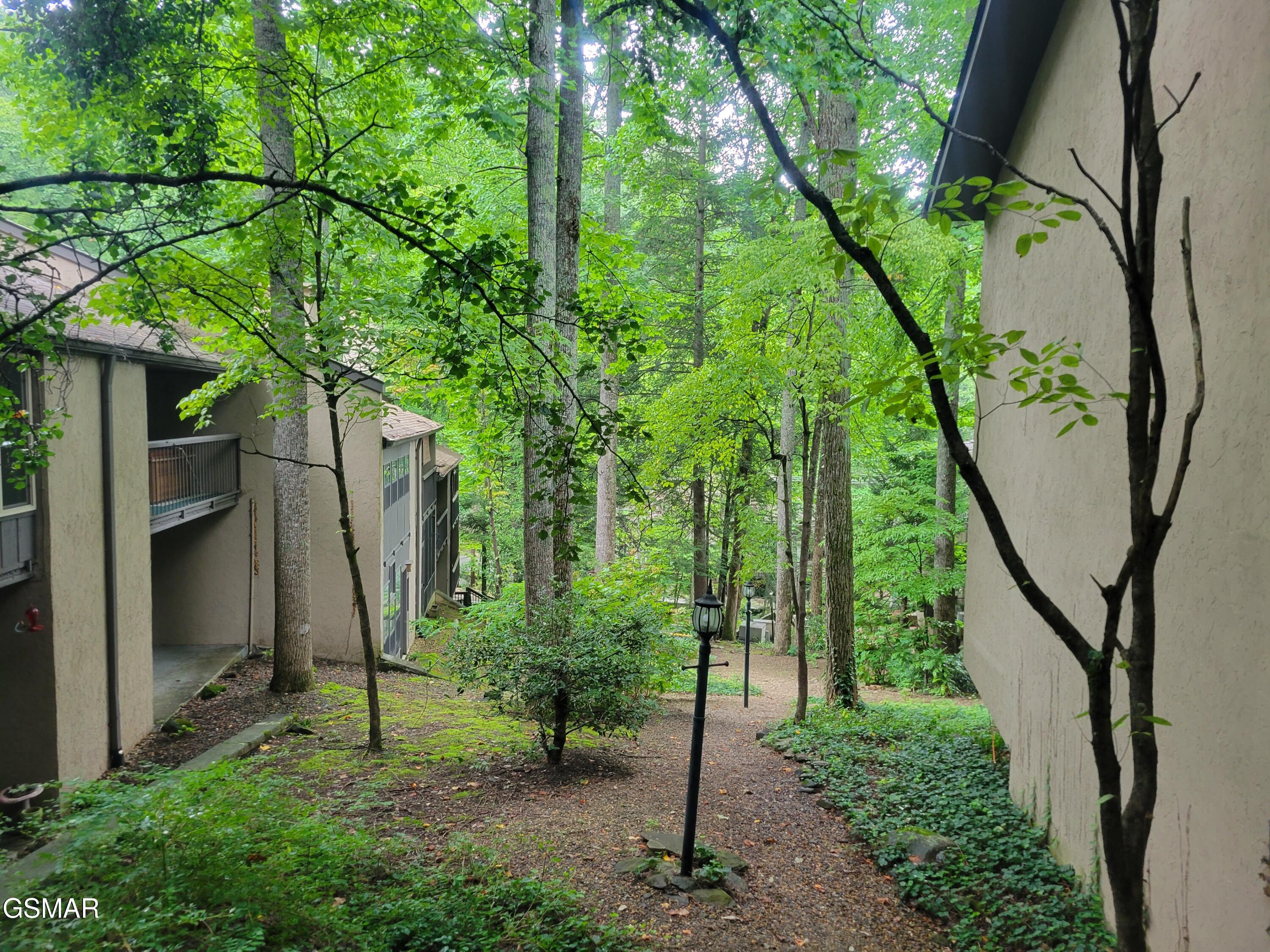 1235 Ski Mountain Road 610 - Photo 4