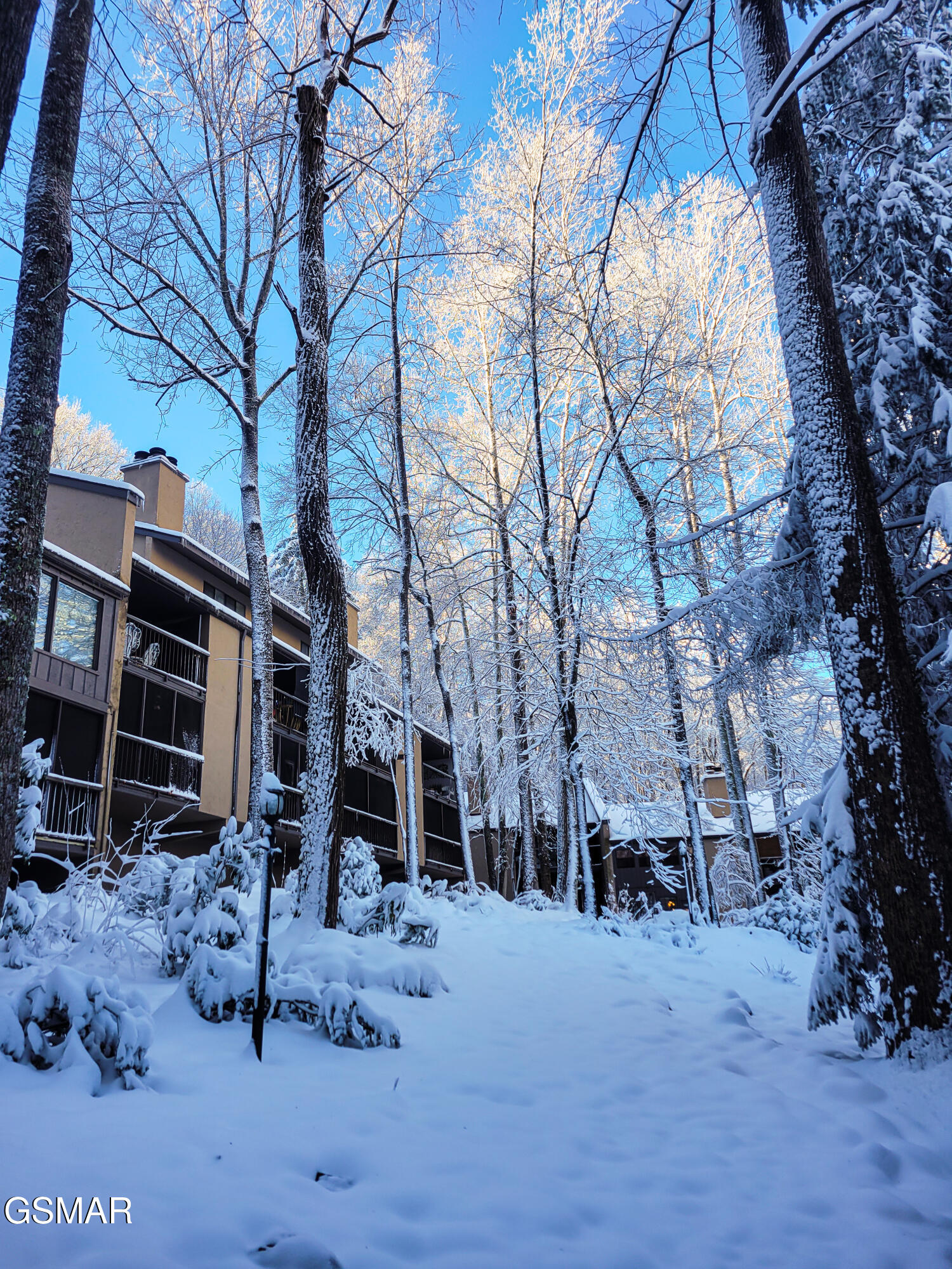 1235 Ski Mountain Road 610 - Photo 2
