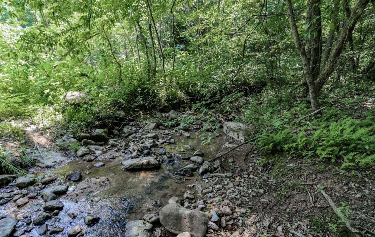 1120 Yellow Springs Road - Photo 3