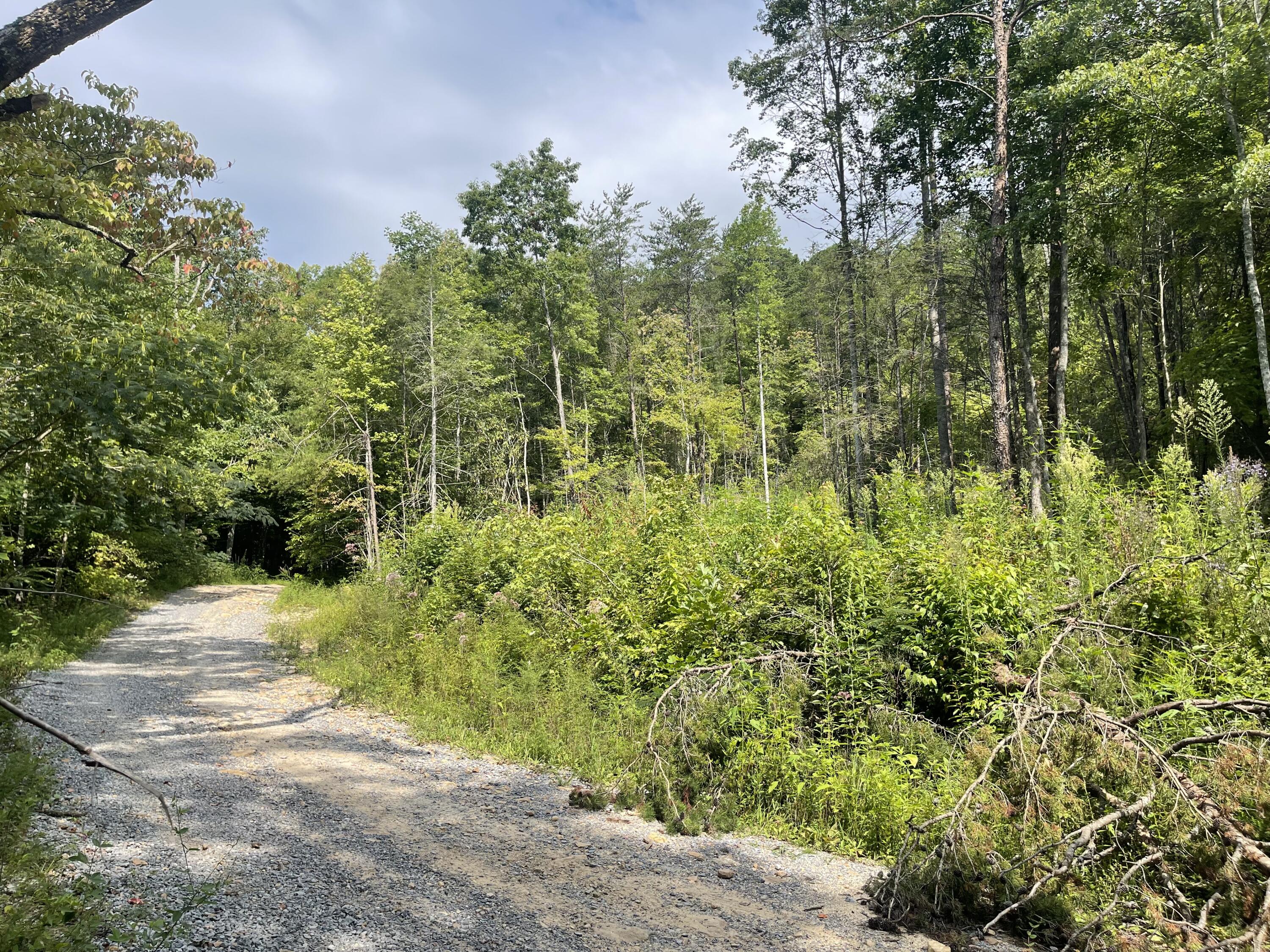 1120 Yellow Springs Road - Photo 4