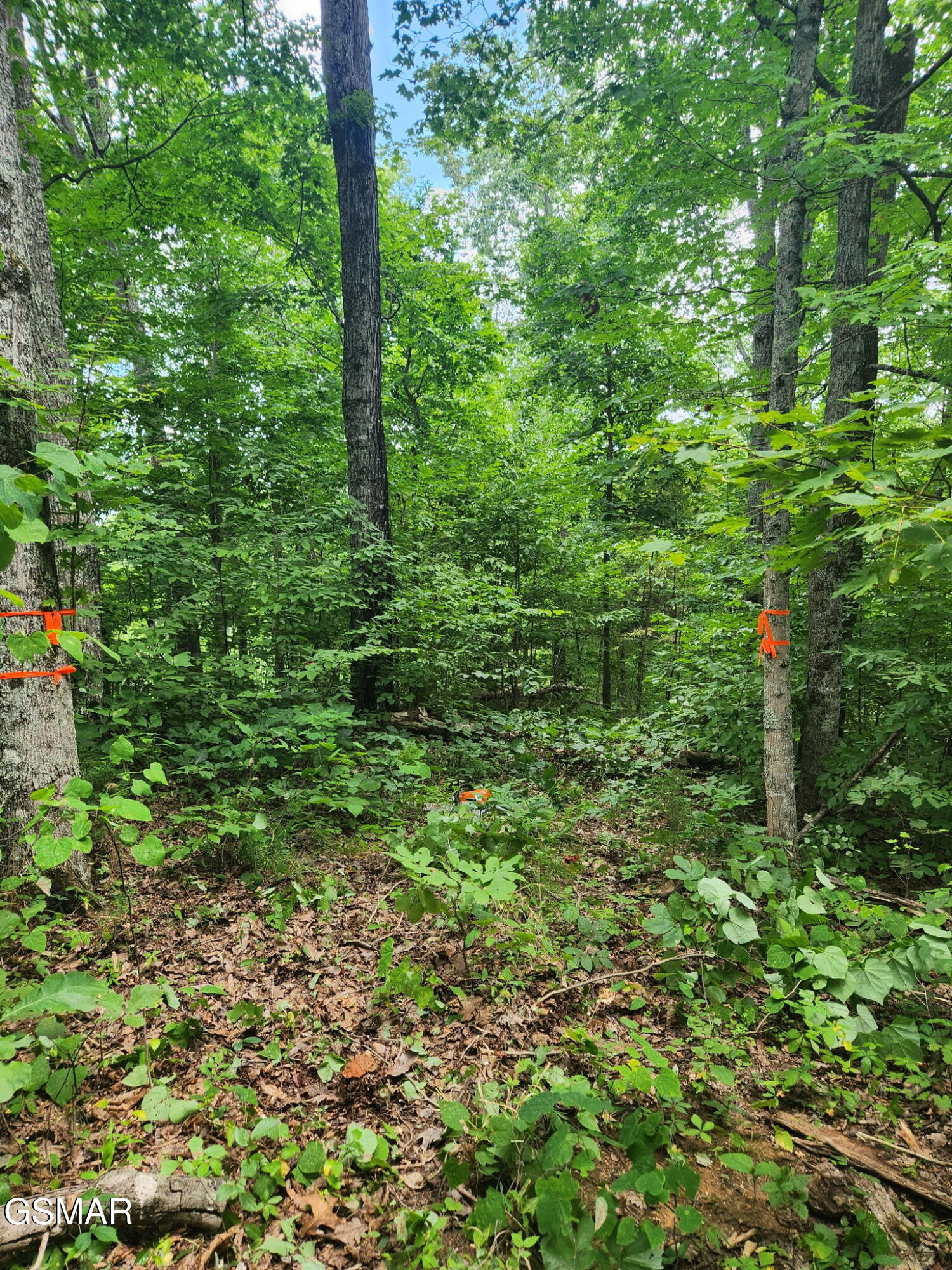0 Lower Rinehart Road - Photo 4