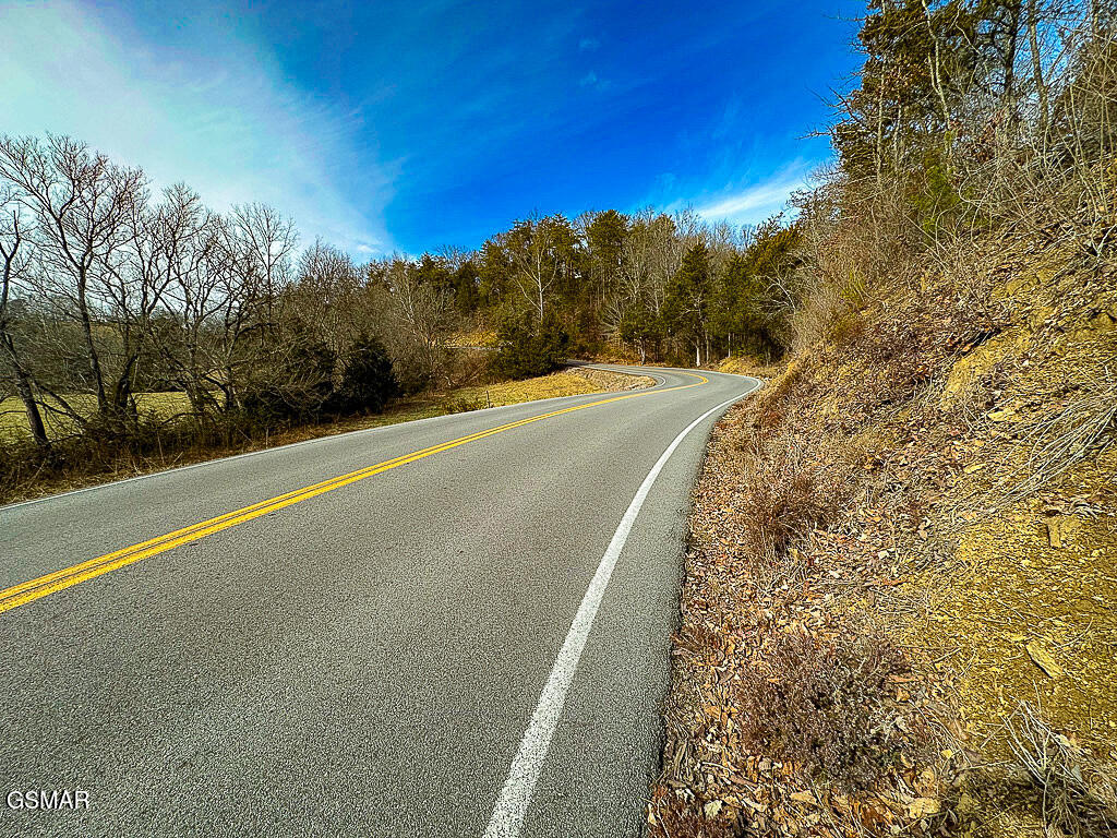 Lot 4 Kellum Creek Road - Photo 4