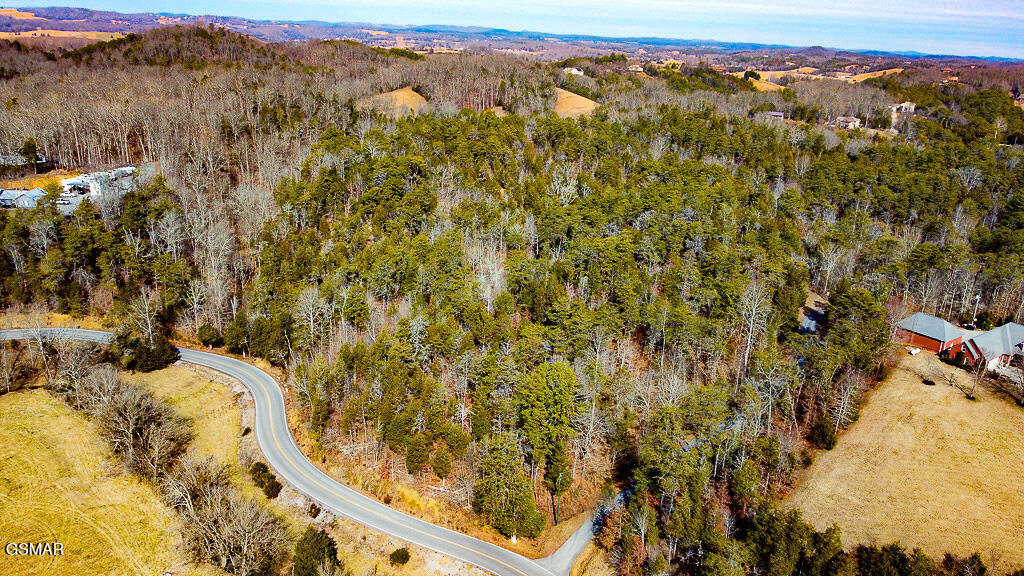 Lot 4 Kellum Creek Road - Photo 3