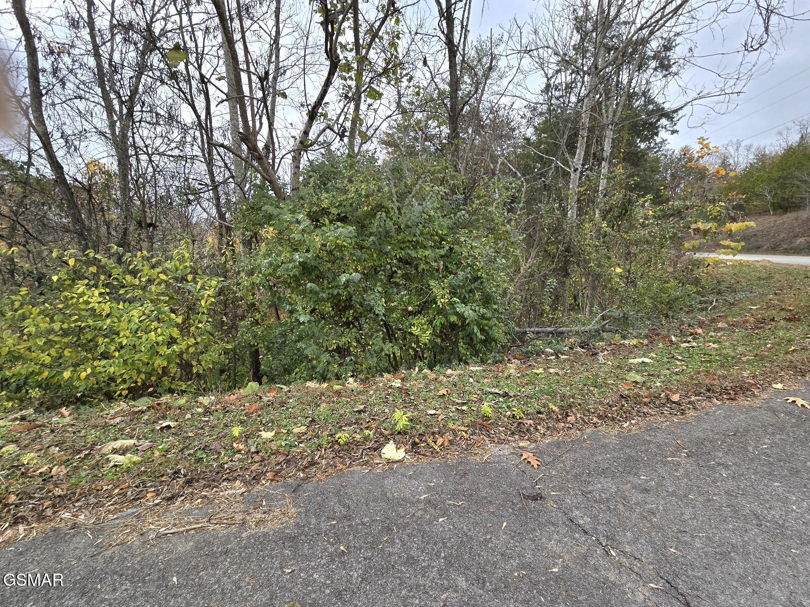 Lot 17 Scott Street - Photo 2