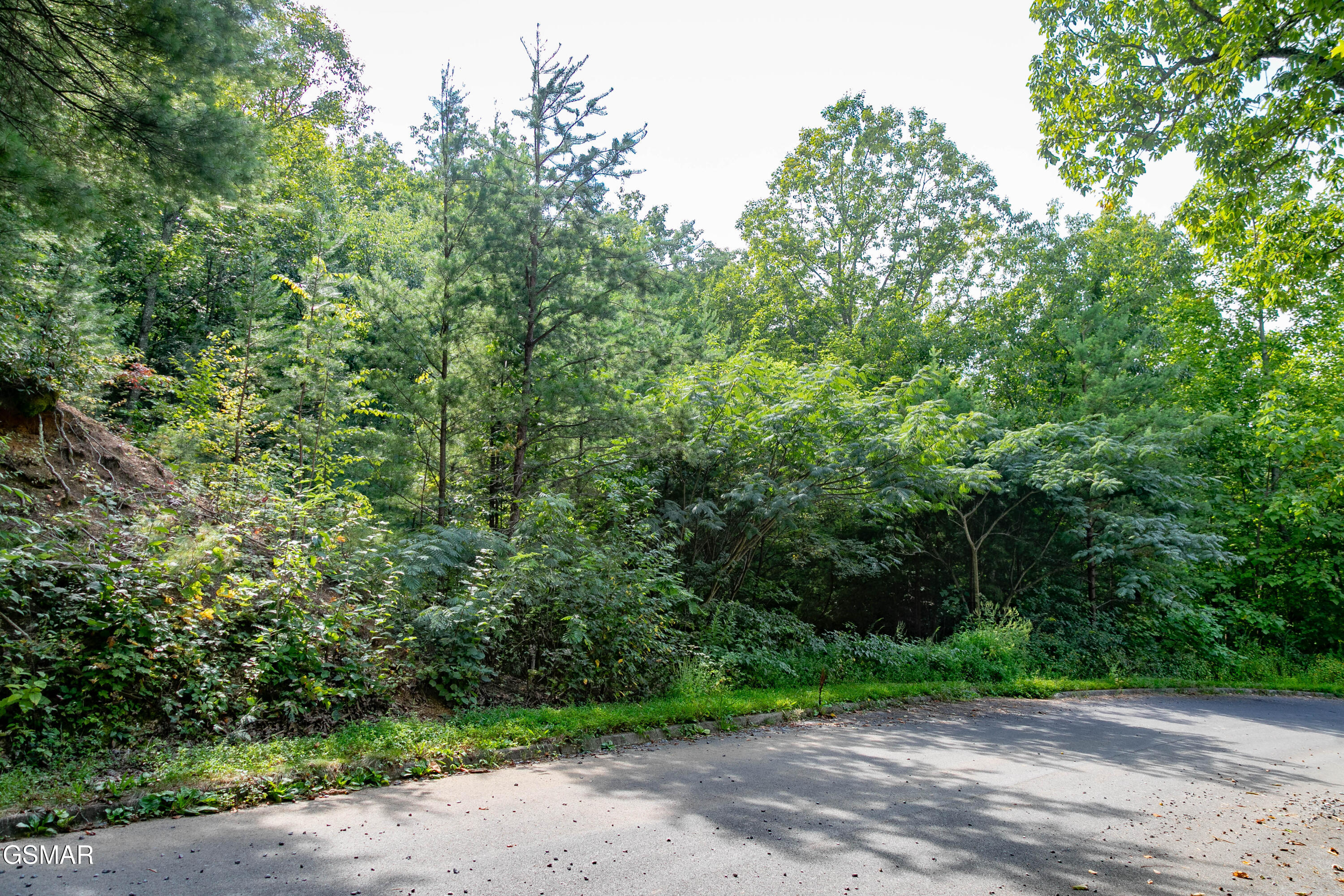 Photo 1 of 11 — Lot 13 Lexy Lane, Sevierville, TN 37862