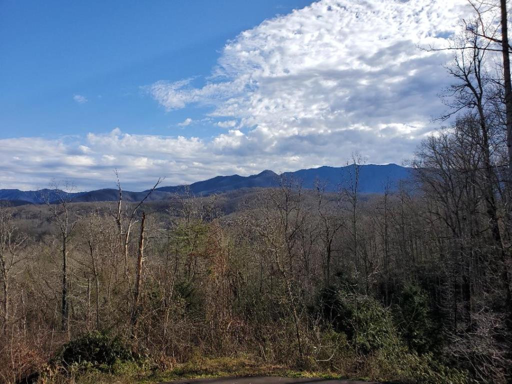 Photo 1 of 5 — 142 & 143 Crest, Gatlinburg, TN 37738