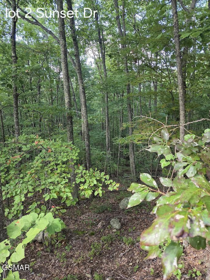 Photo 1 of 3 — Lot 2 Sunset Drive, Sevierville, TN 37876