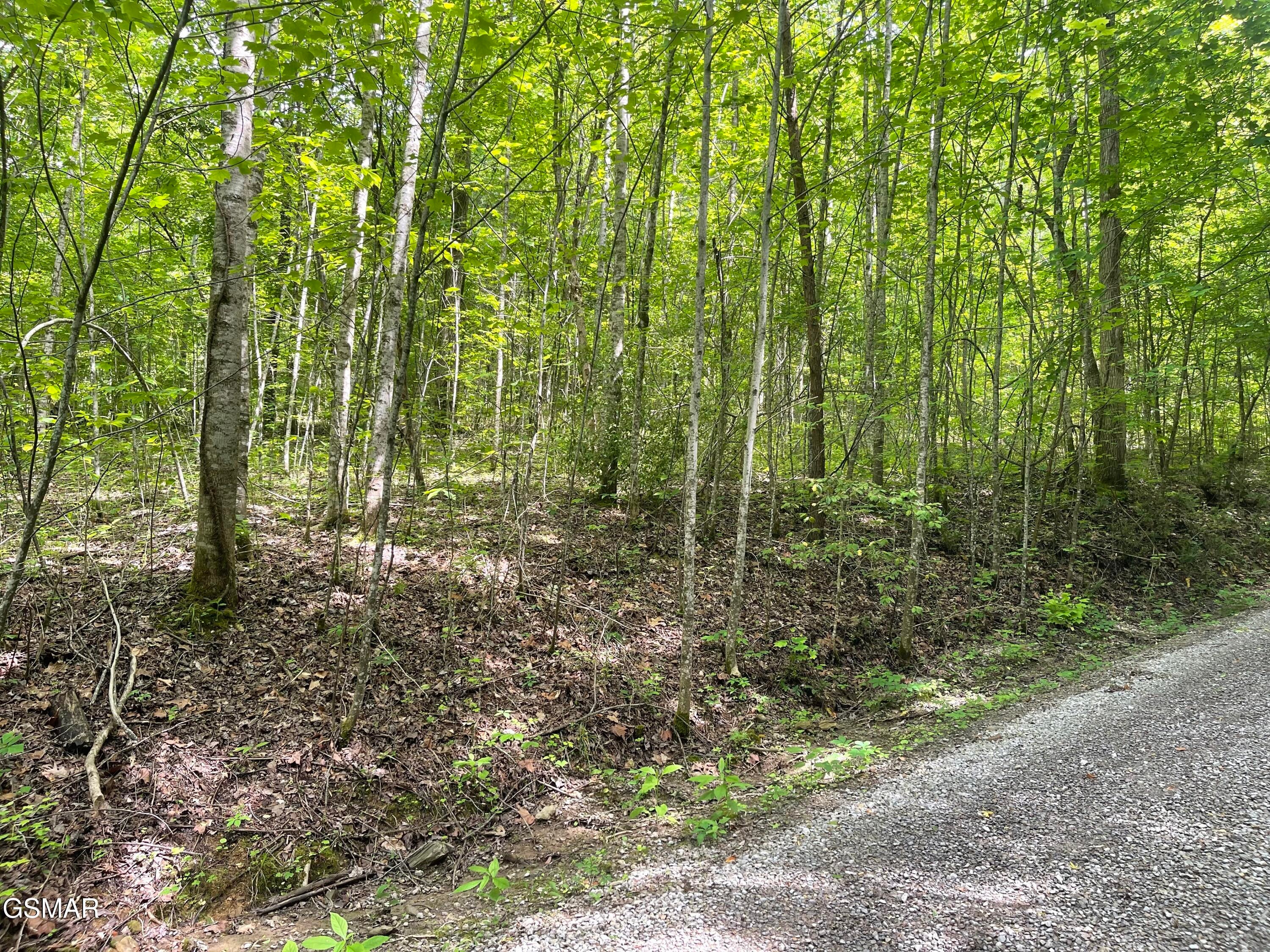 Lot 4 Walden Flats Way - Photo 3