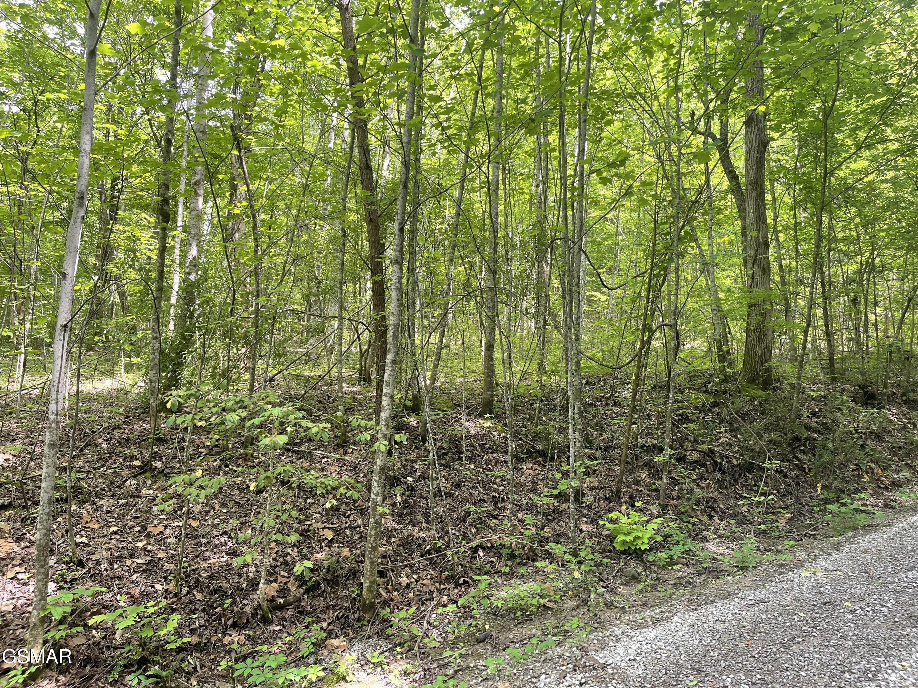 Lot 4 Walden Flats Way - Photo 4