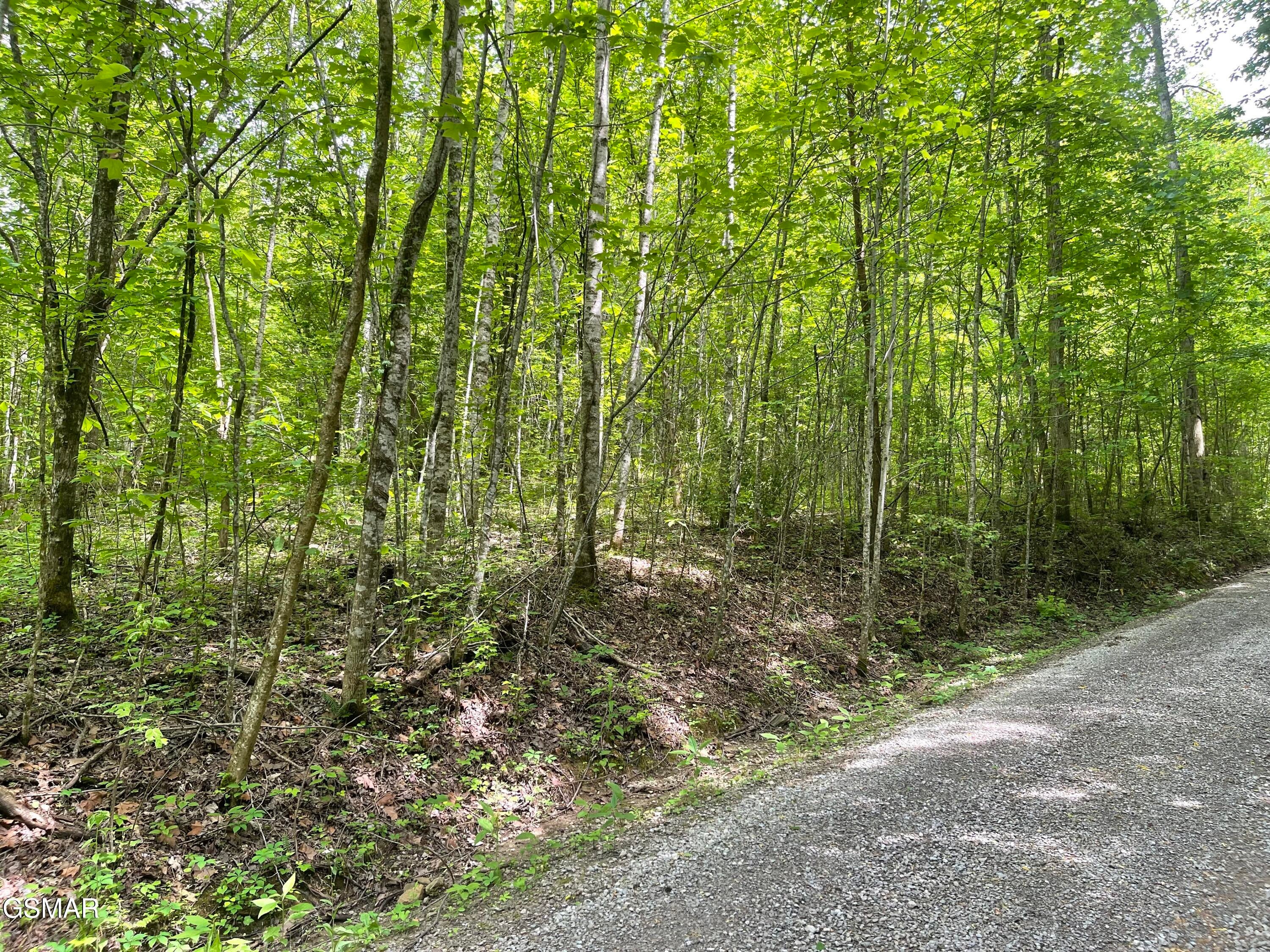 Lot 4 Walden Flats Way - Photo 2