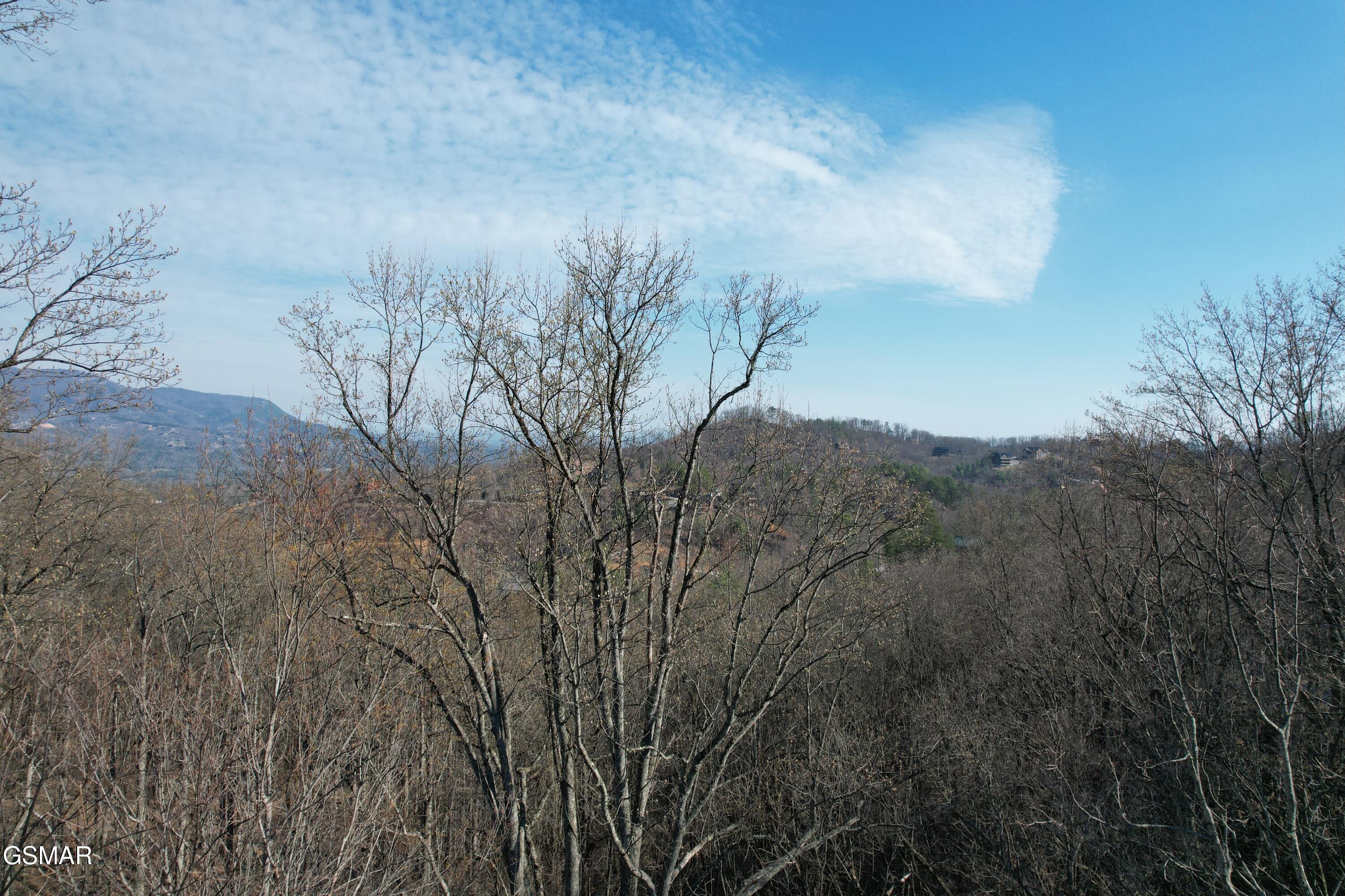 DJI_0126