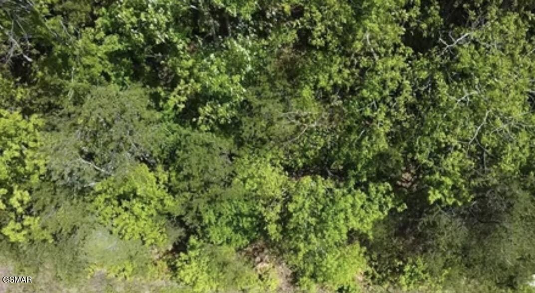 Photo 1 of 2 — Lot 81 Yellowwood Drive, Sevierville, TN 37876