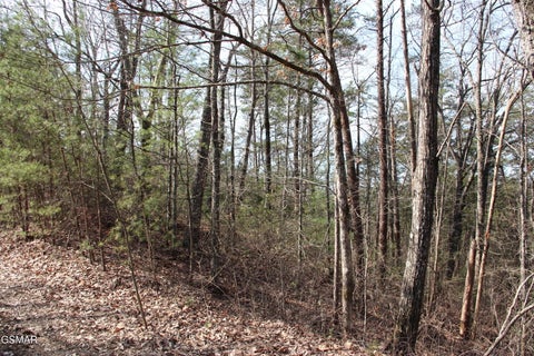 Featured picture for the property 310896