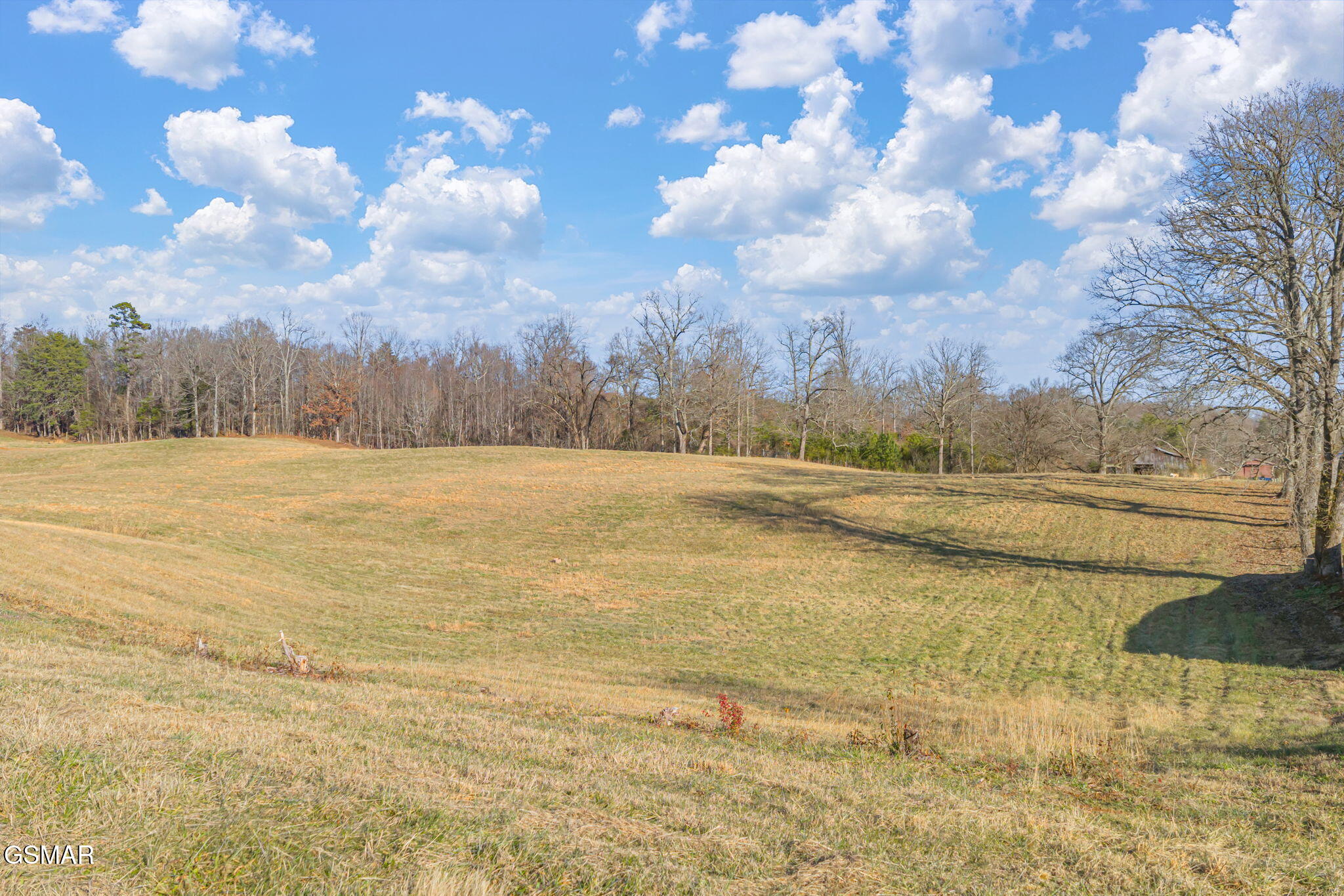 Strawberry Plains, Tennessee, 37871, United States, 3 Bedrooms Bedrooms, ,2 BathroomsBathrooms,Residential,Active,2007149