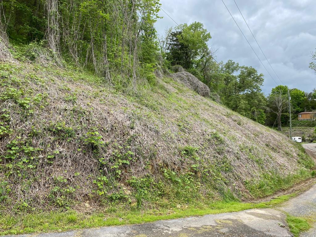 Photo 1 of 3 — lot 3 Coveside Way, Sevierville, TN 37876