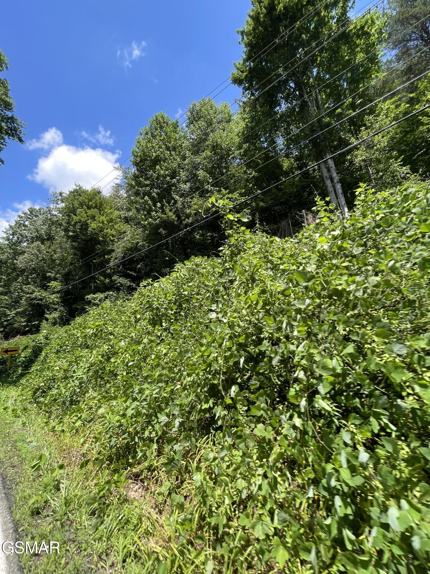 1 Pittman Center Road - Photo 4