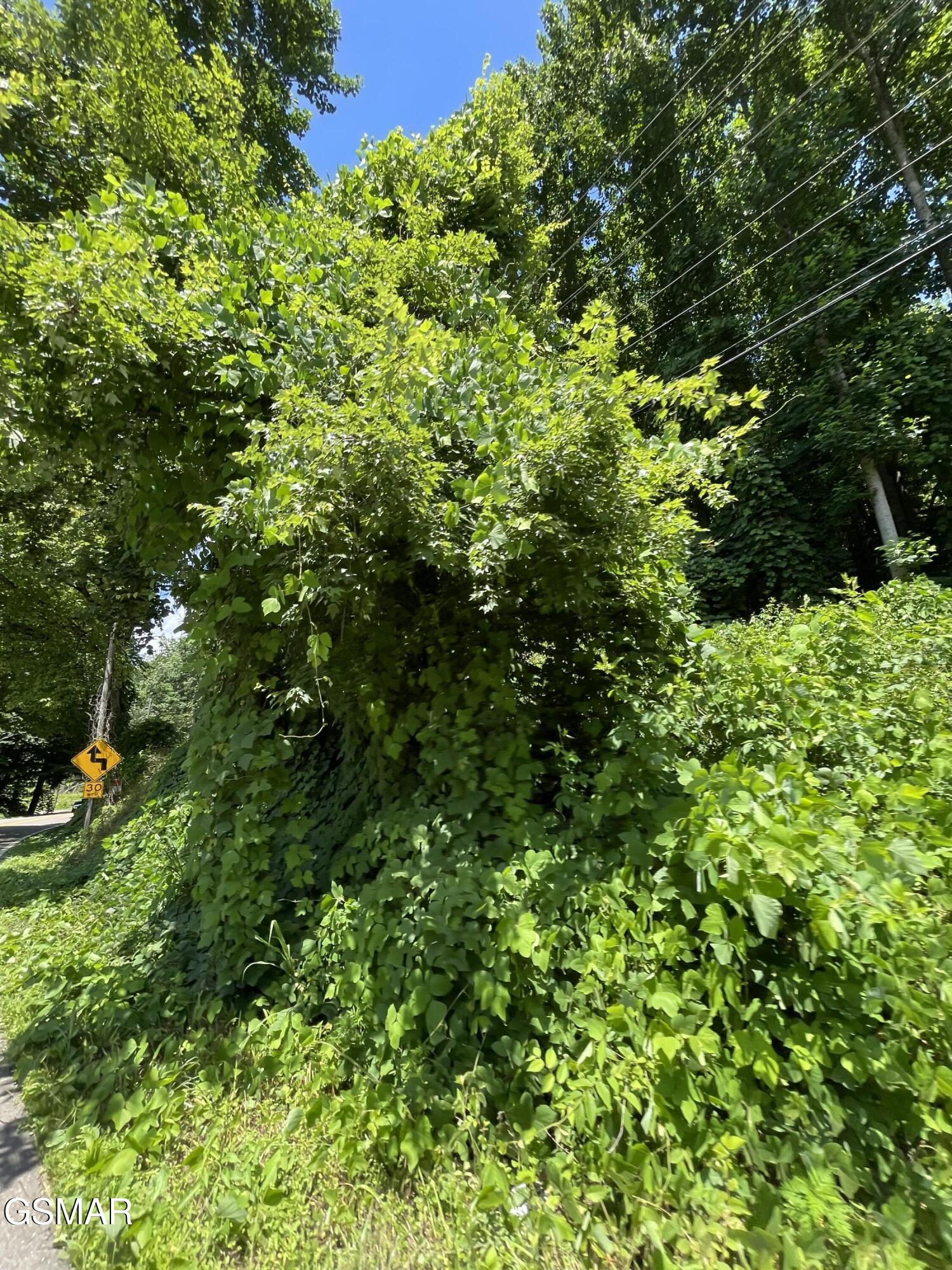 1 Pittman Center Road - Photo 2