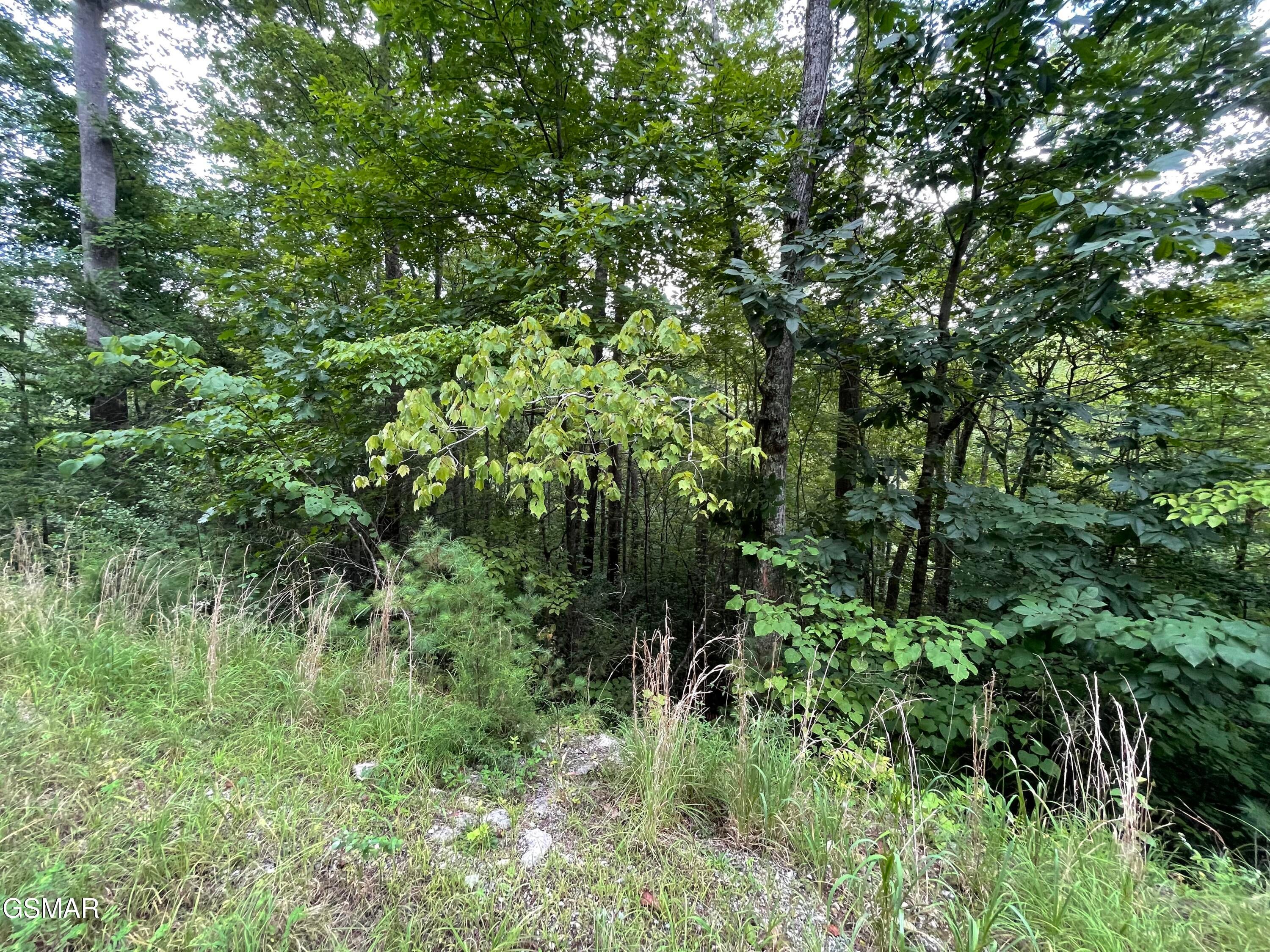 Lot 6 Stepping Stone Drive - Photo 4