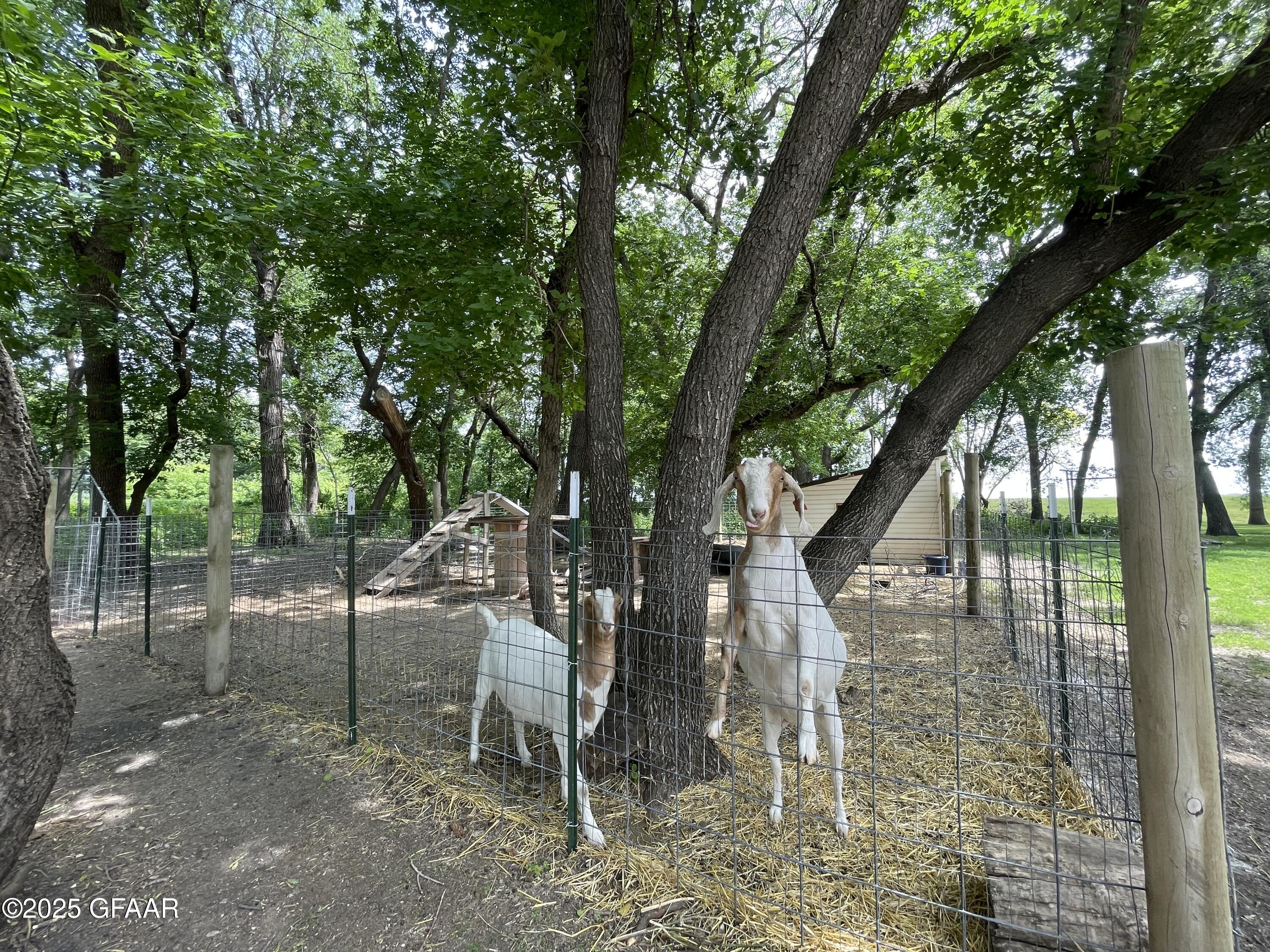 Oslo, Minnesota 56744, United States, 6 Bedrooms Bedrooms, ,3 BathroomsBathrooms,Residential,Active,166328