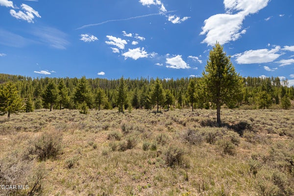 COUGAR AVE, FRASER, CO 80442 - Image 38cbbd6c8c6456136acfc91efb44a65a/3324406321
