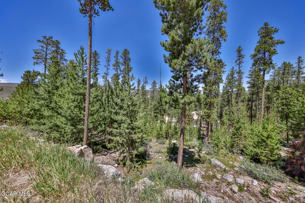 714 COUNTY ROAD 4632, GRAND LAKE, CO 80447 - Image b5ef2fc5d876c7f420bcb7d85941c426/1096995865
