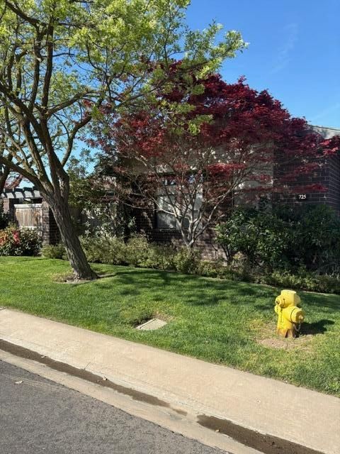 Photo of 725 N Silvervale Drive, Visalia, CA 93292 (MLS # 240249)