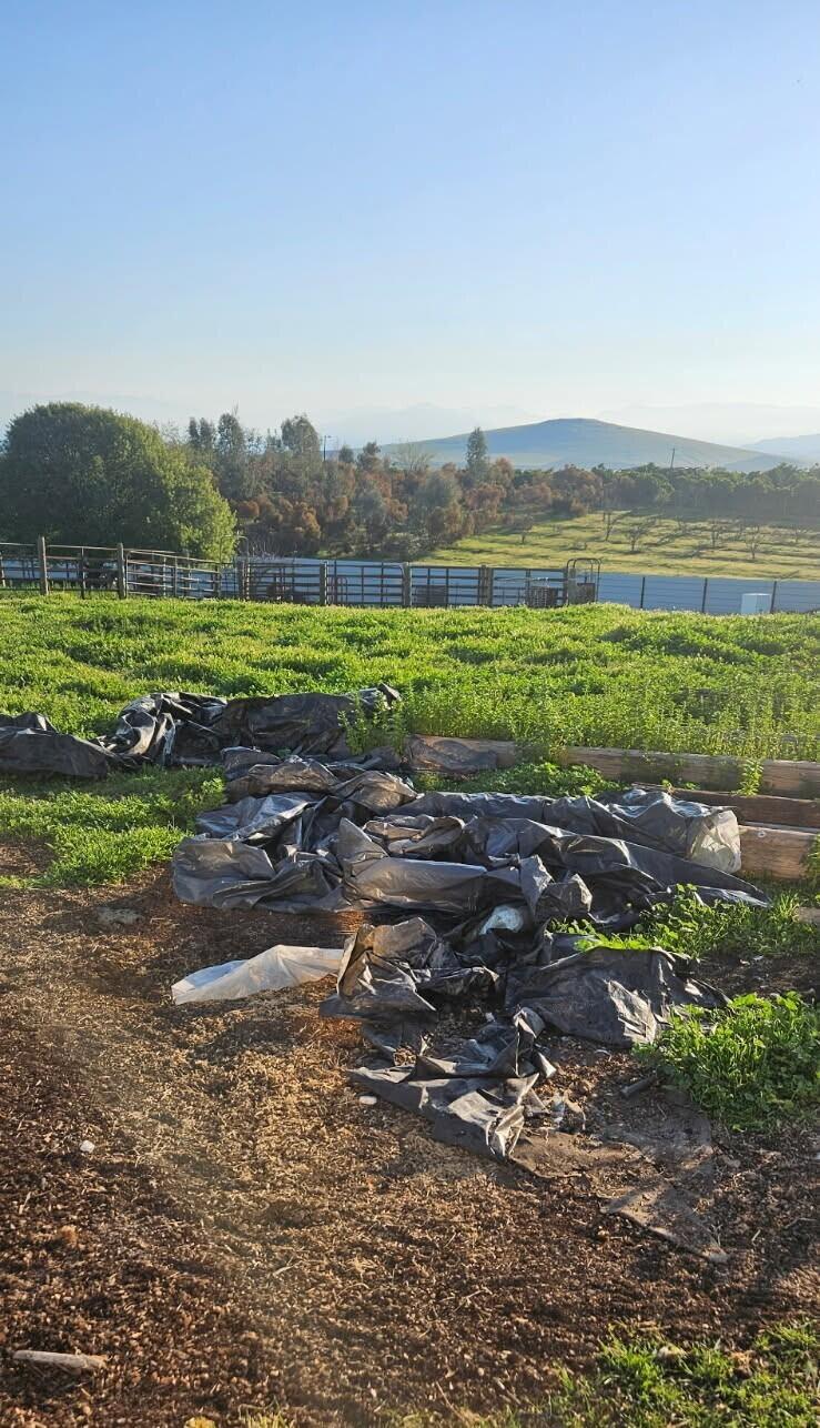 Terra Bella, California 93270, United States, ,Land,Active,124442