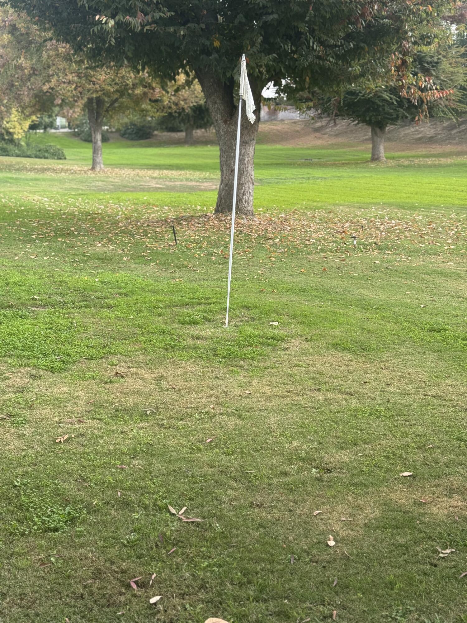 Visalia, California 93277, United States, 3 Bedrooms Bedrooms, ,2 BathroomsBathrooms,Residential,Active,241550