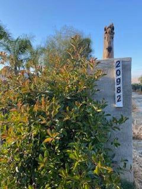 Photo of 20982 Redwood Avenue, Lindsay, CA 93247 (MLS # 240902)