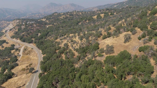 E KINGS CANYON RD, MIRAMONTE, CA 93641 - Image 19bef43e4f8c71b7b73e0eee63b62e7d/2536376017