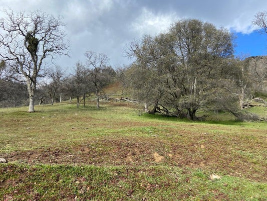0 SOUTH FORK DRIVE, THREE RIVERS, CA 93271 - Image 2d0edfeeedbd0e1fabb59e48544a63c7/429276139