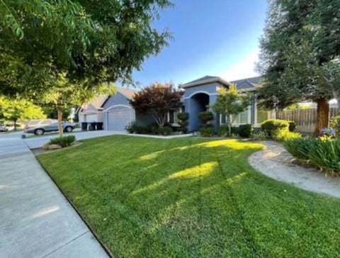 Photo of 145 N Stokes Street, Visalia, CA 93291 (MLS # 244358)