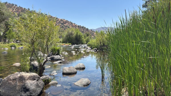 KAWEAH RIVER DR, THREE RIVERS, CA 93271 - Image 4aea18be9fcd09dd18c6763c667c8a67/4169907634