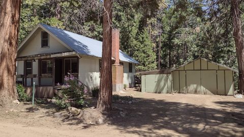 440 Trails End Dr, Camp Nelson, CA 93265 - MLS#: 223614