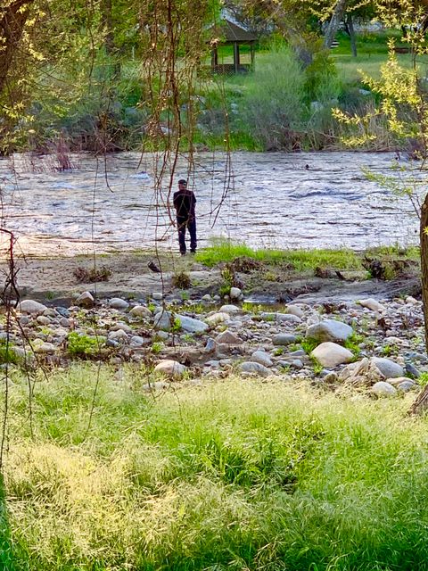 Photo of 41811 Sierra Drive, Three Rivers, CA 93271 (MLS # 238803)