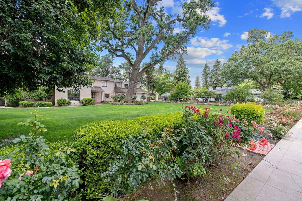 Photo of 1409 W Beverly Drive, Visalia, CA 93277 (MLS # 241794)