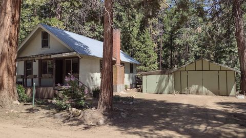 Photo of 440 Trails End Drive, Camp Nelson, CA 93265 (MLS # 240508)