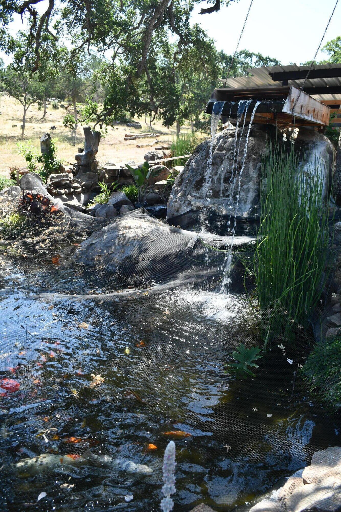 Squaw Valley, California 93675, United States, 3 Bedrooms Bedrooms, ,3 BathroomsBathrooms,Residential,Active,22724