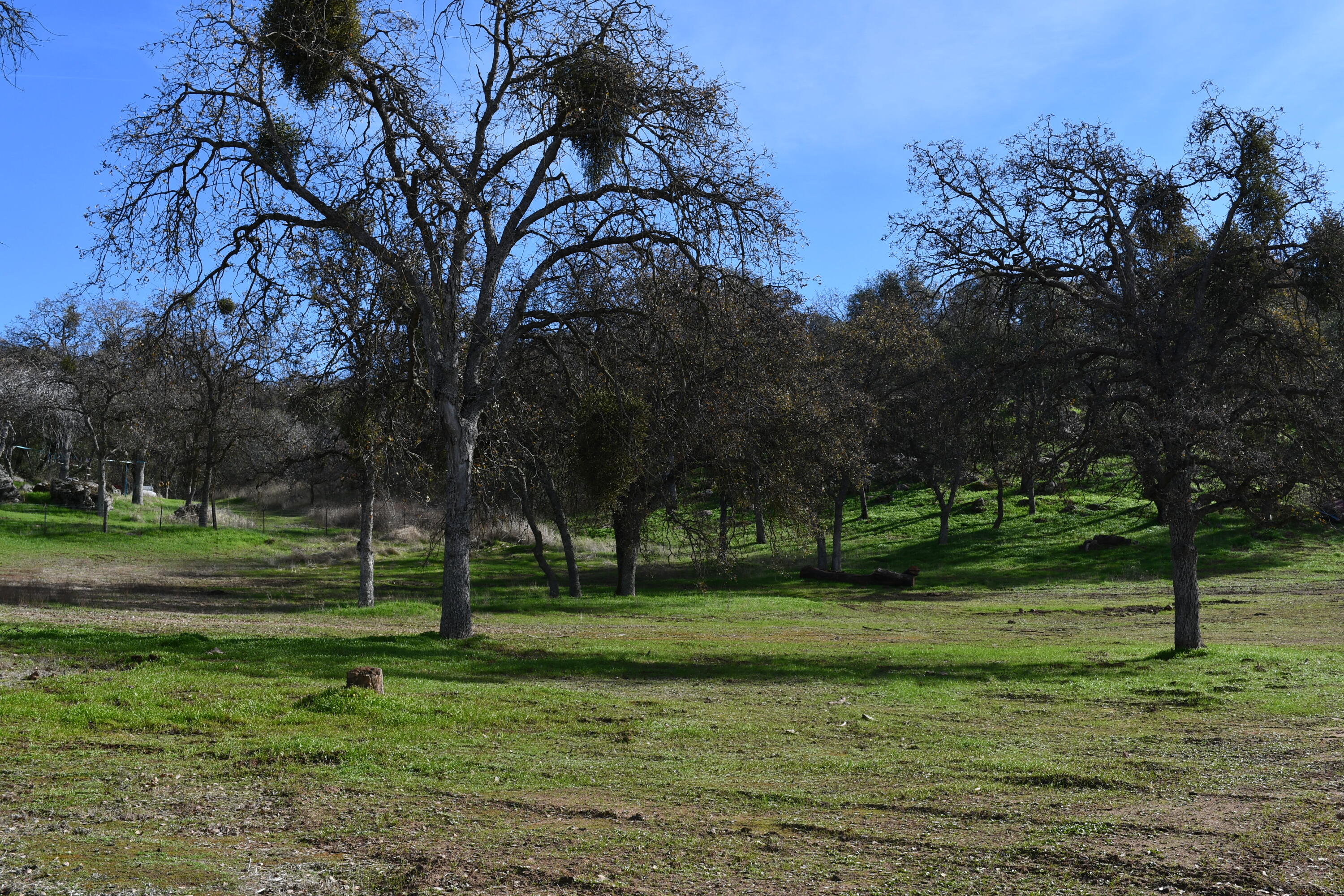 Squaw Valley, California 93675, United States, 3 Bedrooms Bedrooms, ,3 BathroomsBathrooms,Residential,Active,22724