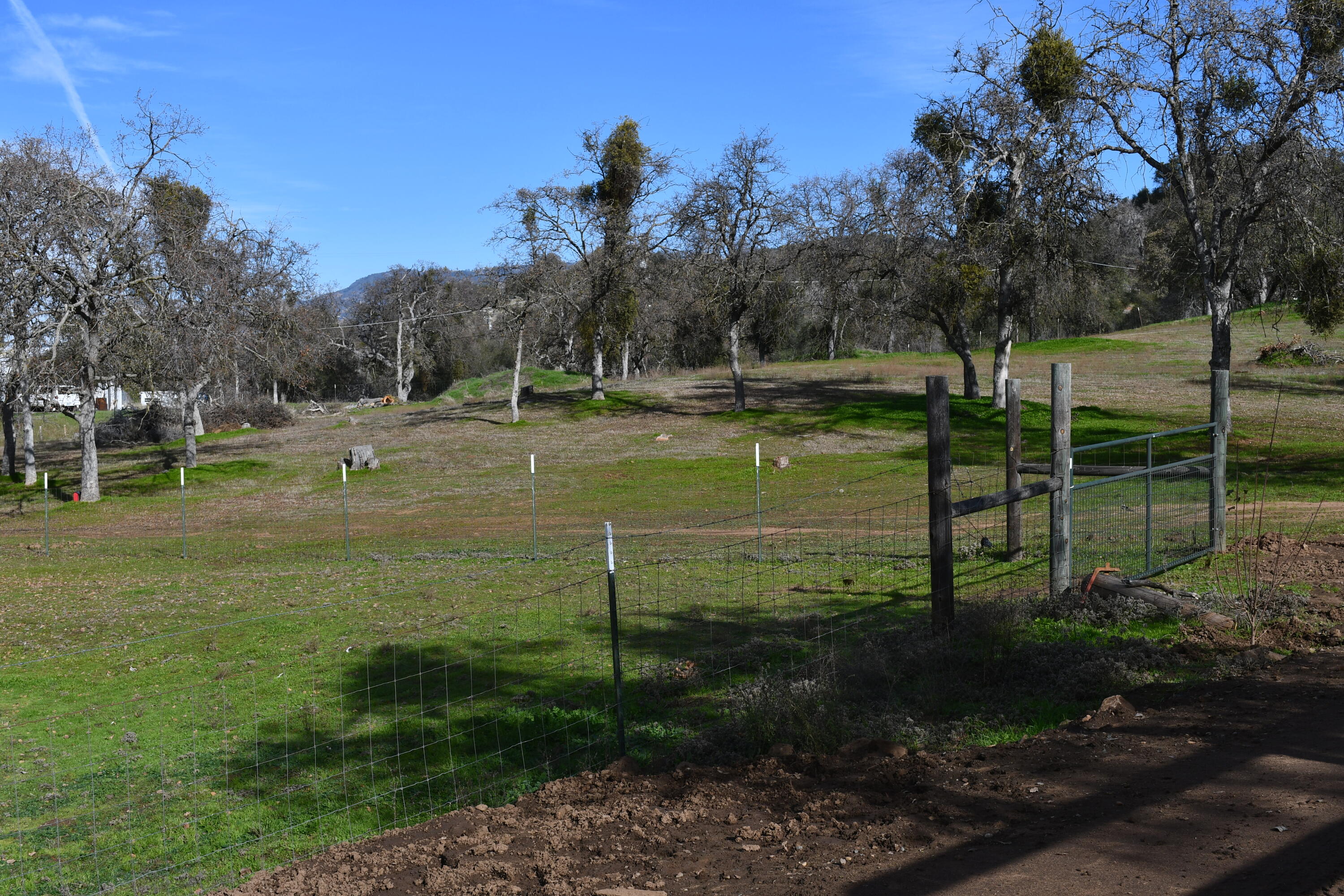 Squaw Valley, California 93675, United States, 3 Bedrooms Bedrooms, ,3 BathroomsBathrooms,Residential,Active,22724