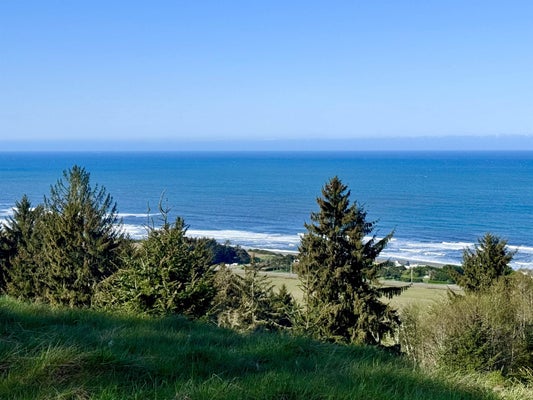 300 ELK RUN RD, SMITH RIVER, CA 95567 - Image 0940e2f1211d75bc5d50ae820d2c99ec/3233322036