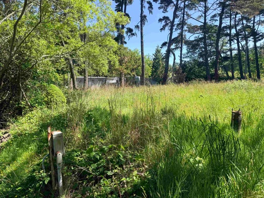 1811 W JEFFERSON ST, CRESCENT CITY, CA 95531 - Image eccb74e2d54aa4a6c66f5e7a379f0d91/494045908