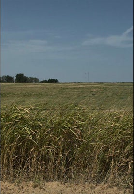 NE 135TH ST, LAWTON, OK 73507 - Image f797f7db93467082337a00a5a5111b2a/2009646864