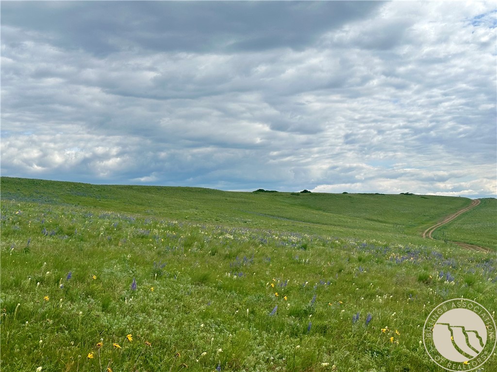 15.9 Ac Buck Creek Road