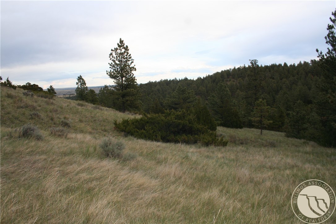 Lot 71 North Harrier Rd.